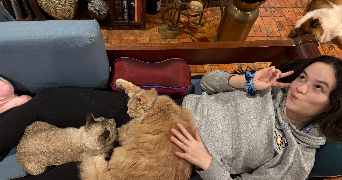 kim lan pet sitter à PARIS 03 75003_1