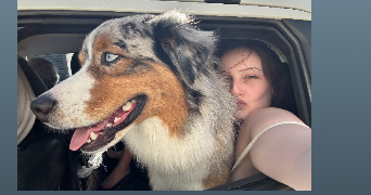 tatiana pet sitter à ABLEIGES 95450_2