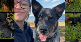 marie-lou pet sitter à ST JULIEN EN GENEVOIS 74160_0