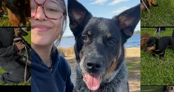 marie-lou pet sitter à ST JULIEN EN GENEVOIS 74160