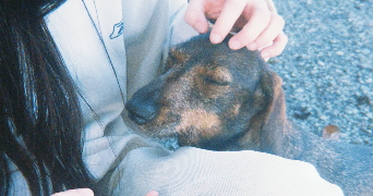 salomé pet sitter à ANGERS 49000_5