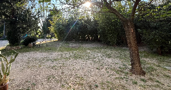 alejandra pet sitter à AVIGNON 84140_2