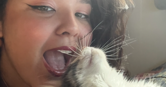 alyssa pet sitter à TOULOUSE 31200_0