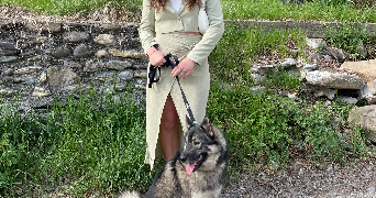 louise pet sitter à LYON 05 69005_2