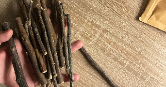 aya pet sitter à ILLKIRCH GRAFFENSTADEN 67400_6