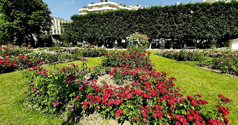 victoria dog sitter à LEVALLOIS PERRET 92300_3