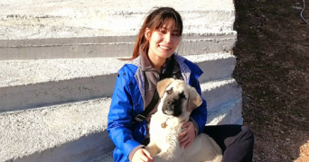 melissa pet sitter à BOURGOIN JALLIEU 38300_1