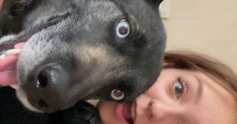 linaelle pet sitter à NEVERS 58000_1