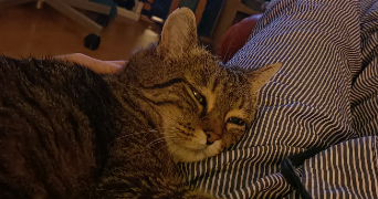 lucie pet sitter à Grenoble 38100_2