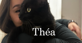 rayhana cat sitter à LE PERREUX SUR MARNE 94170_0