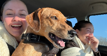 loane pet sitter à REBRECHIEN 45470_0