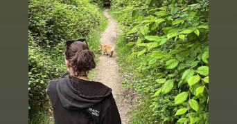 lilie pet sitter à STRASBOURG 67000_3