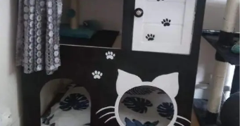 frédéric pet sitter à ROUEN 76000_1