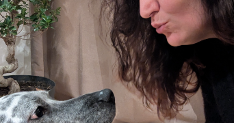 peggy pet sitter à PFASTATT 68120_1