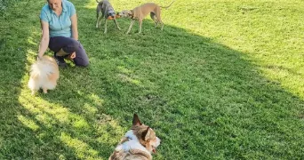 anna pet sitter à SEGNY 01170