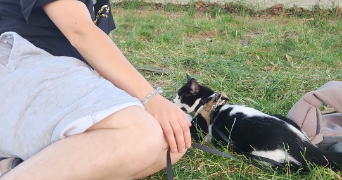 laurie pet sitter à VENISSIEUX 69200_1