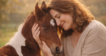 héléna pet sitter à LE TEILLEUL 50640_2