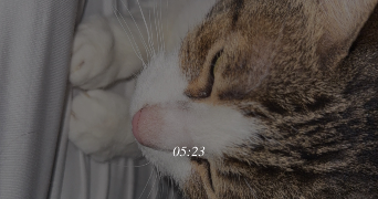 julia pet sitter à MAISONS ALFORT 94700_2