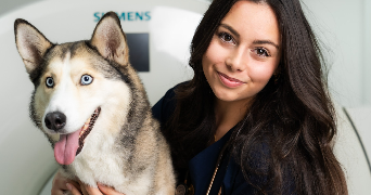 eléa pet sitter à LE PRADET 83220_10