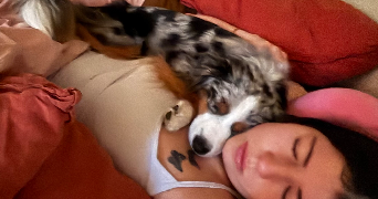 ninon pet sitter à PARIS 14 75014_1