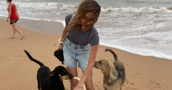 allissia pet sitter à VIROFLAY 78220_2