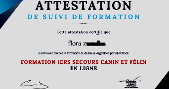 flora pet sitter à SCIONZIER 74950_6