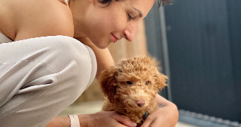 paola dog sitter à PARIS 04 75004_1