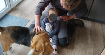 jérémie pet sitter à LOIRON RUILLE 53320_1