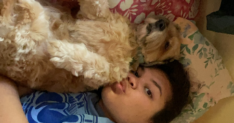 manihi pet sitter à Boulogne sur mer 62200_7