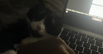 endahlé pet sitter à BESANCON 25000_0