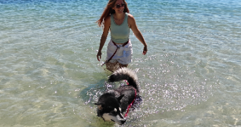 pauline pet sitter à ST MAXIMIN LA STE BAUME 83470_4