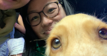 lilou pet sitter à TOULOUSE 31200_2