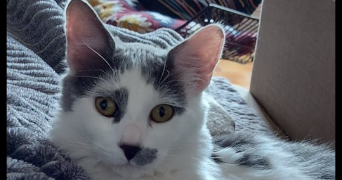 florence pet sitter à L ESCALE 04160_3