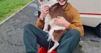 kevin dog sitter à BAYONNE 64100