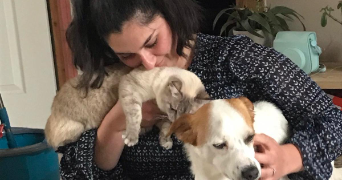 manon pet sitter à LOMBRON 72450_5