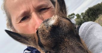 virginie pet sitter à ST MAXIMIN LA STE BAUME 83470_1