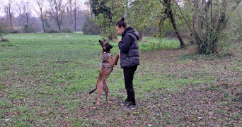 morgiane pet sitter à VILLEURBANNE 69100_1