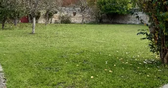 sandrine dog sitter à BURY 60250