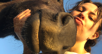 céline pet sitter à LA CHAPELLE SUR ERDRE 44240_3