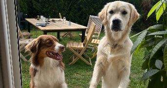 elodie pet sitter à CHAUX 90330_4