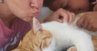 alice pet sitter à CHATEAU GONTIER SUR MAYENNE 53200_11