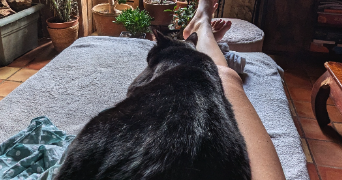 louise pet sitter à VALENCE EN POITOU 86700_3