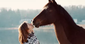 solène pet sitter à UZEMAIN 88220