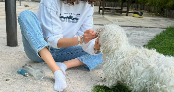 julie pet sitter à Nantes 44000_1