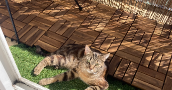 anaïs pet sitter à LE MANS 72000_2