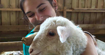 tiffany pet sitter à ST JORY 31790_2