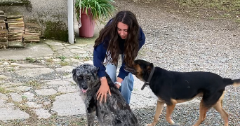 lisa pet sitter à DIEPPE 76200_0