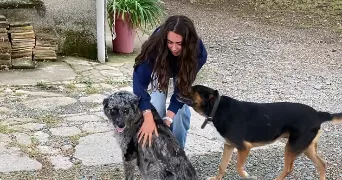 lisa pet sitter à DIEPPE 76200