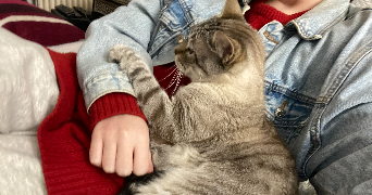 romane pet sitter à FONTENAY LE FLEURY 78330_5
