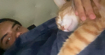 ana gabriela cat sitter à PARIS 17 75017_2